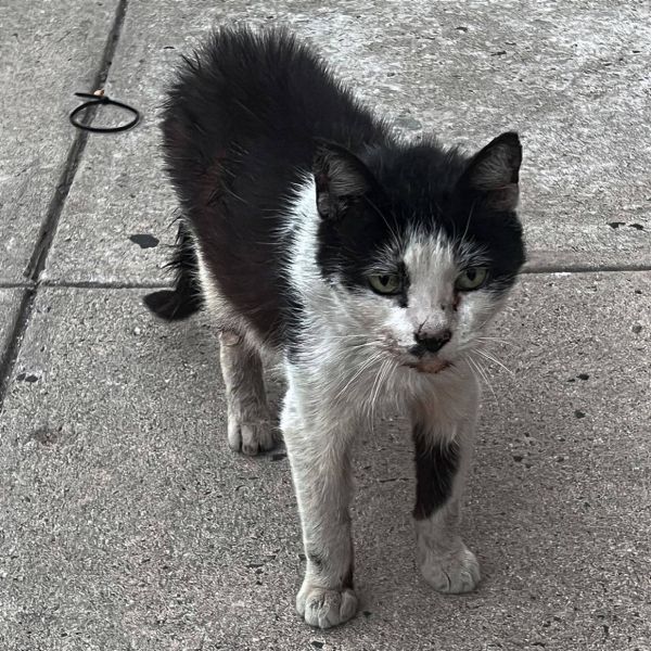 Danny  Willow Grove thumbnail 2