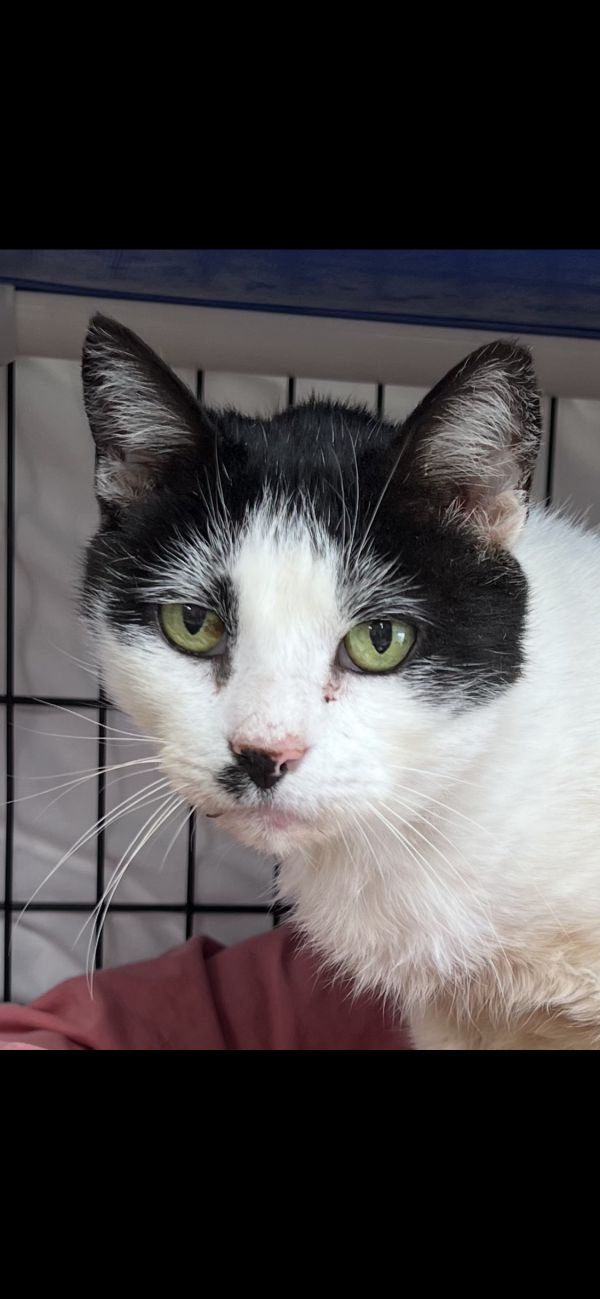 Danny  Willow Grove thumbnail 4