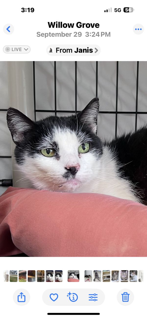 Danny  Willow Grove thumbnail 6