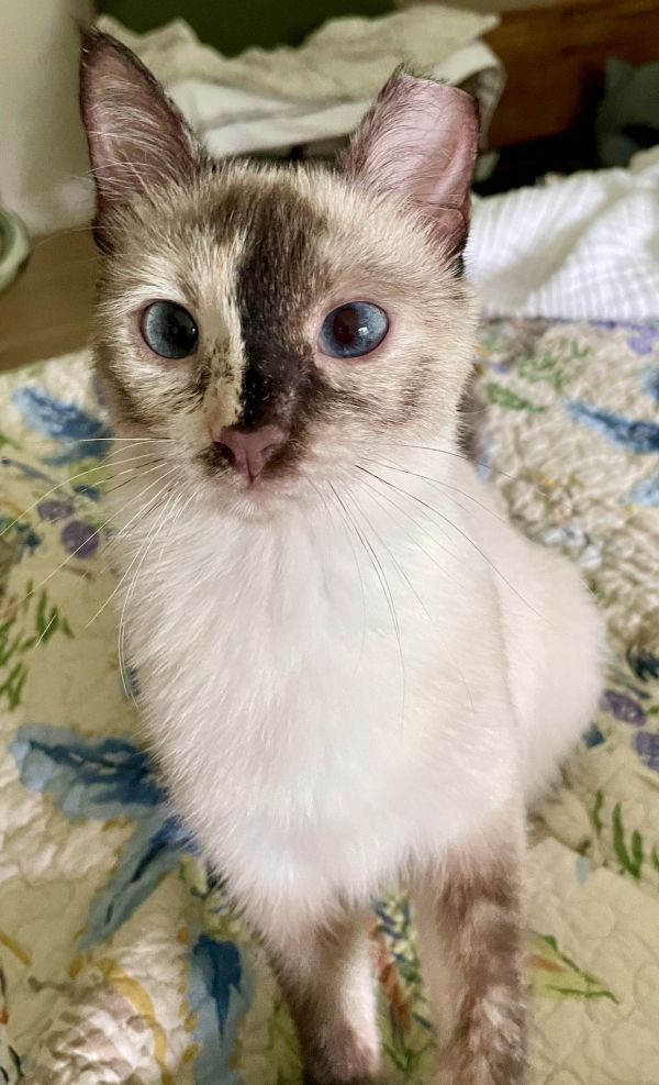Lucy