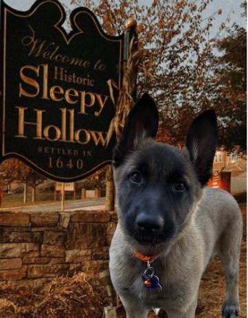 Sleepy Hollow