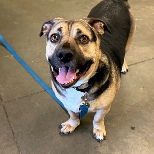 Delorean thumbnail 2