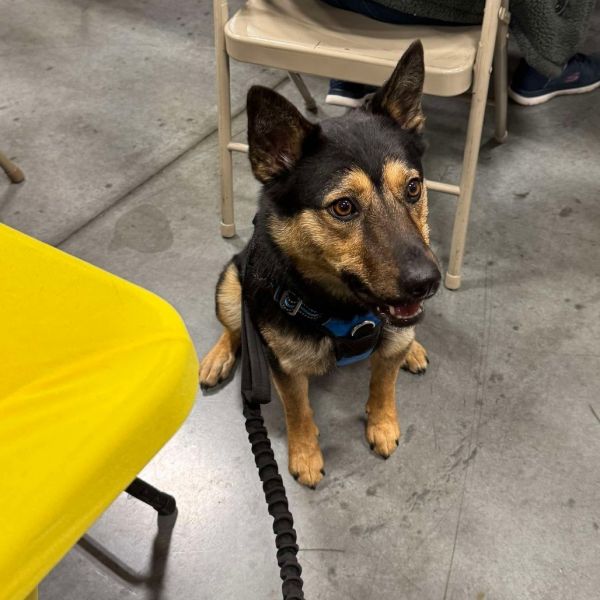 Yasmina Os Ca Pdrjazzy thumbnail 2