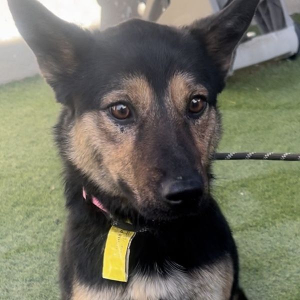 Yasmina Os Ca Pdrjazzy thumbnail 3