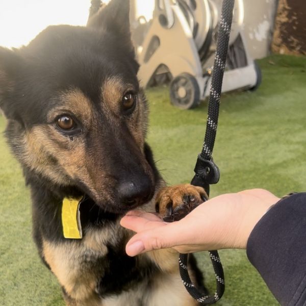 Yasmina Os Ca Pdrjazzy thumbnail 4