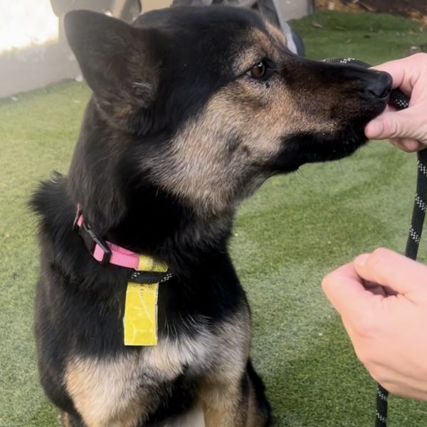 Yasmina Os Ca Pdrjazzy thumbnail 5