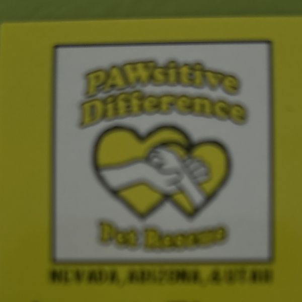 Joplin Annie Bic photo 1