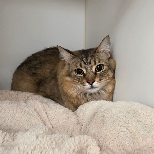 Rosie