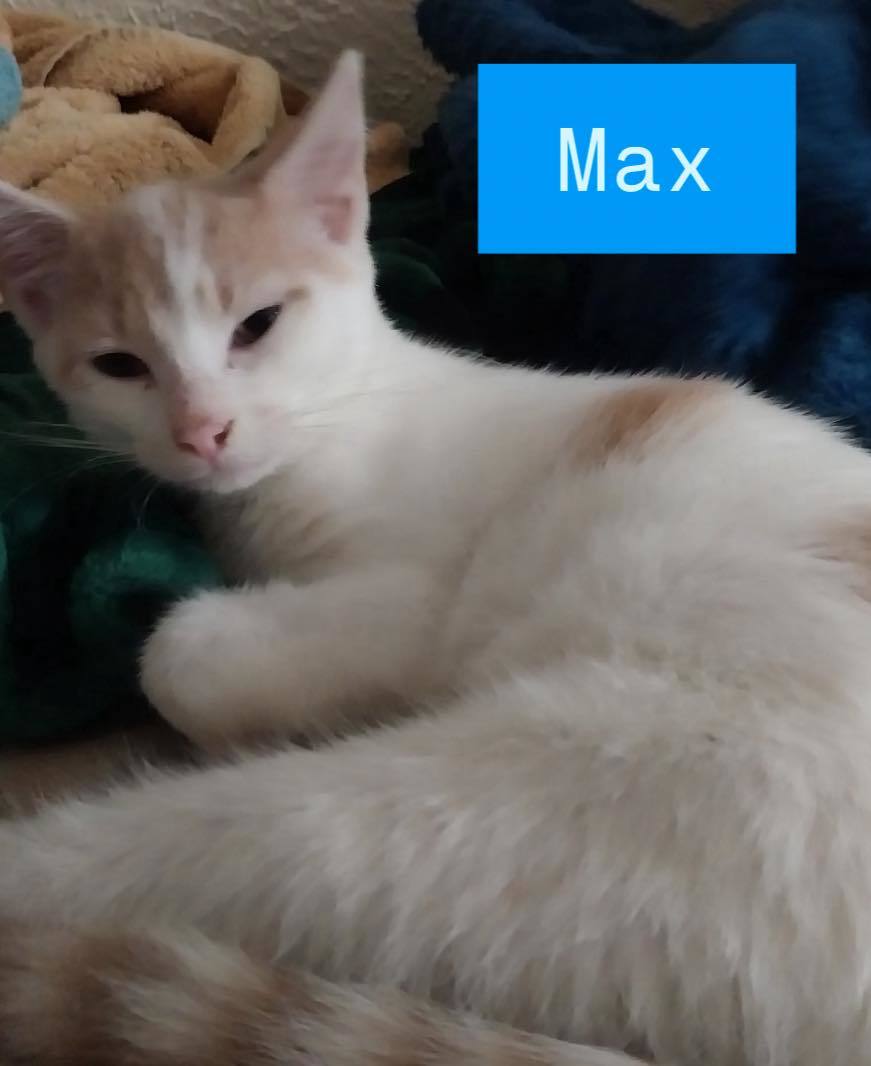 Max