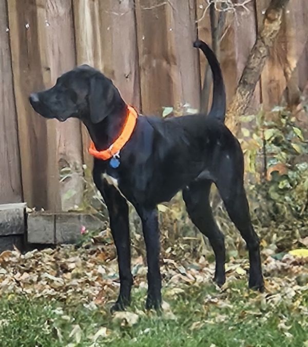 Sophia D thumbnail 2