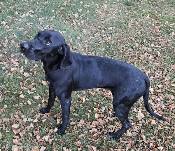 Sophia D thumbnail 3