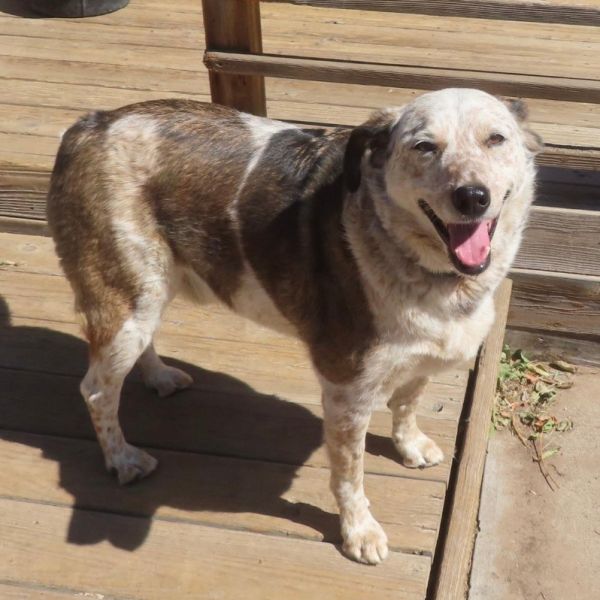 Little Dude thumbnail 3