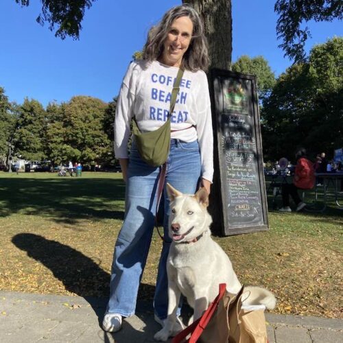 WinterBlue, an adoptable Husky, Mixed Breed in Hawkestone, ON, L0L 1T0 | Photo Image 6