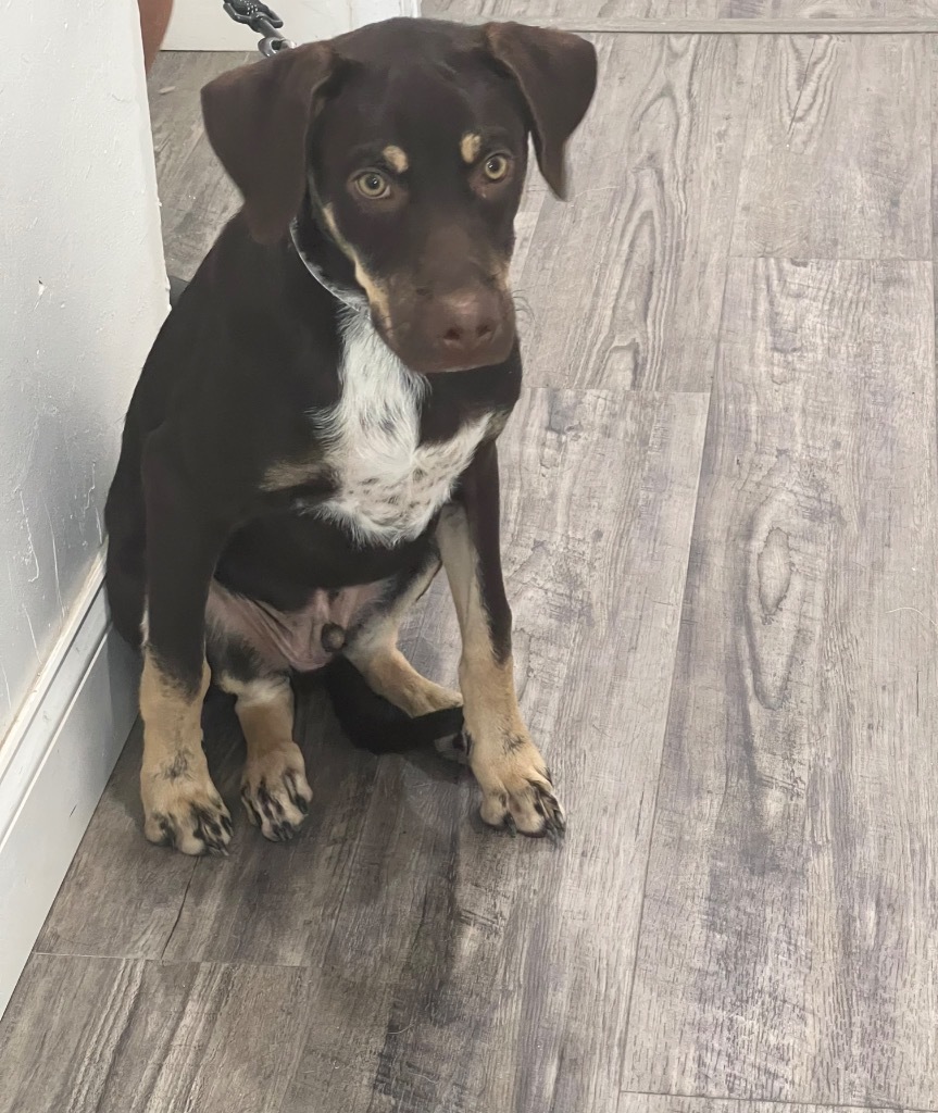 Roscoe