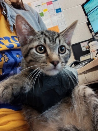 Eugene