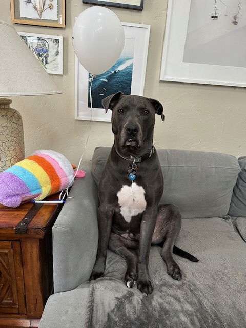 Saranac - aka "Snacks" (Courtesy) 1