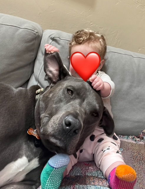 Saranac - aka "Snacks" (Courtesy) 2