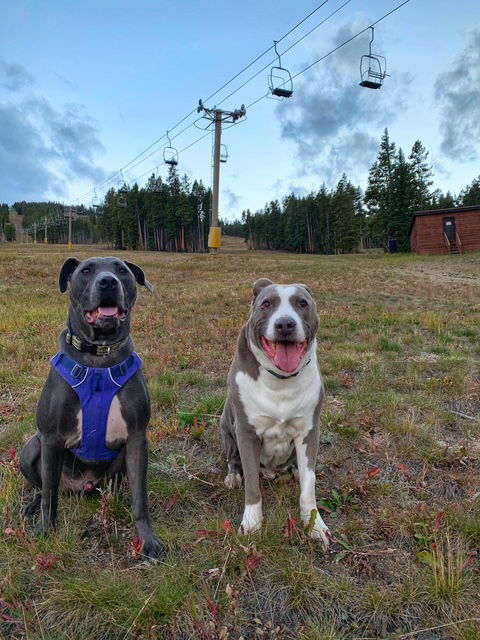 Saranac - aka "Snacks" (Courtesy) 3