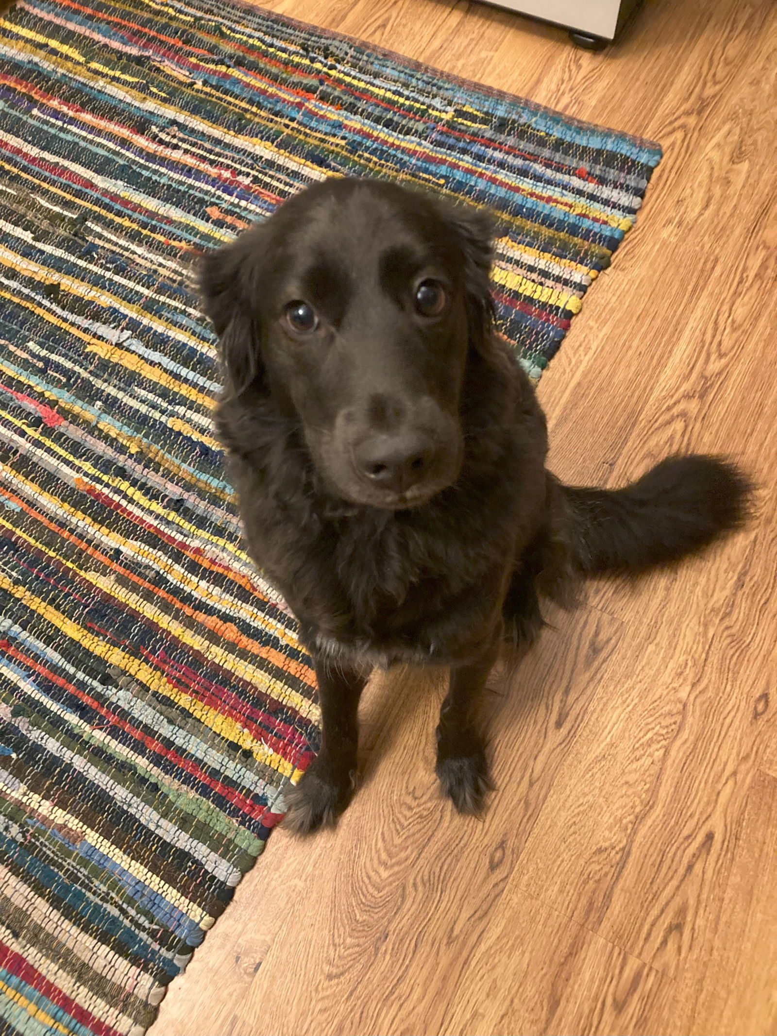 Winona/Mocha