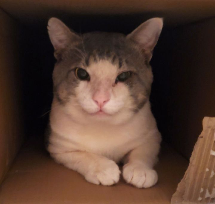 Henry #rags-to-riches 2