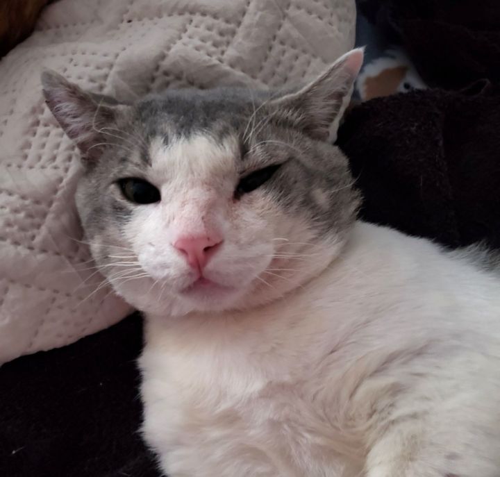 Henry #rags-to-riches 3