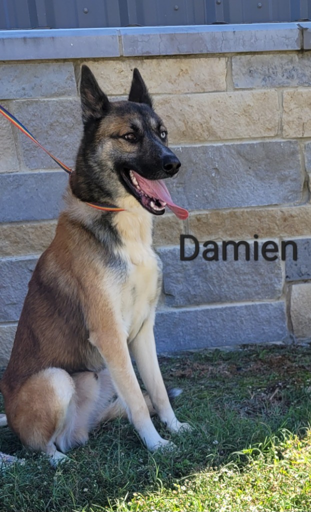 Damien 1
