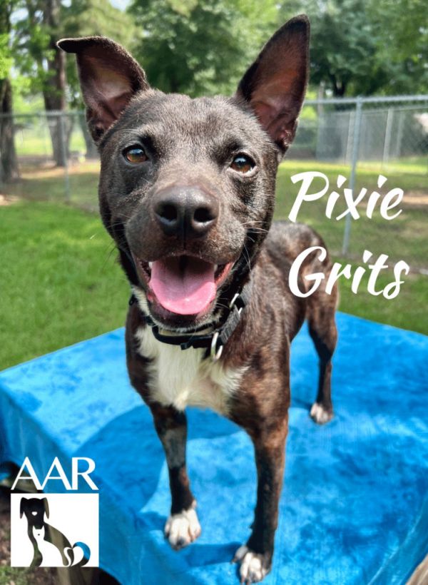 Pixie Grits