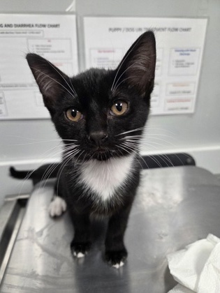 B Taylor thumbnail 2