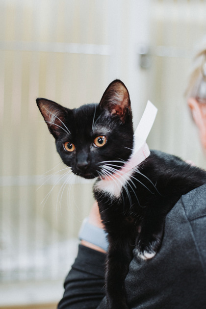 B Taylor thumbnail 3