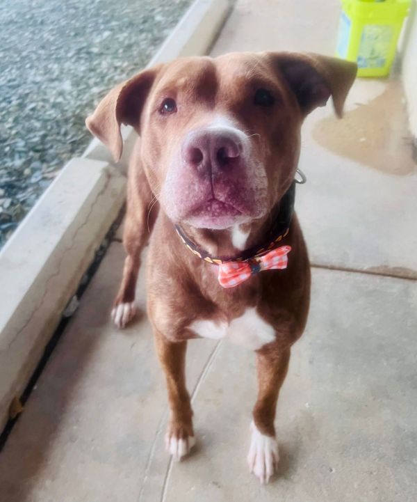 Forrest Gump thumbnail 2