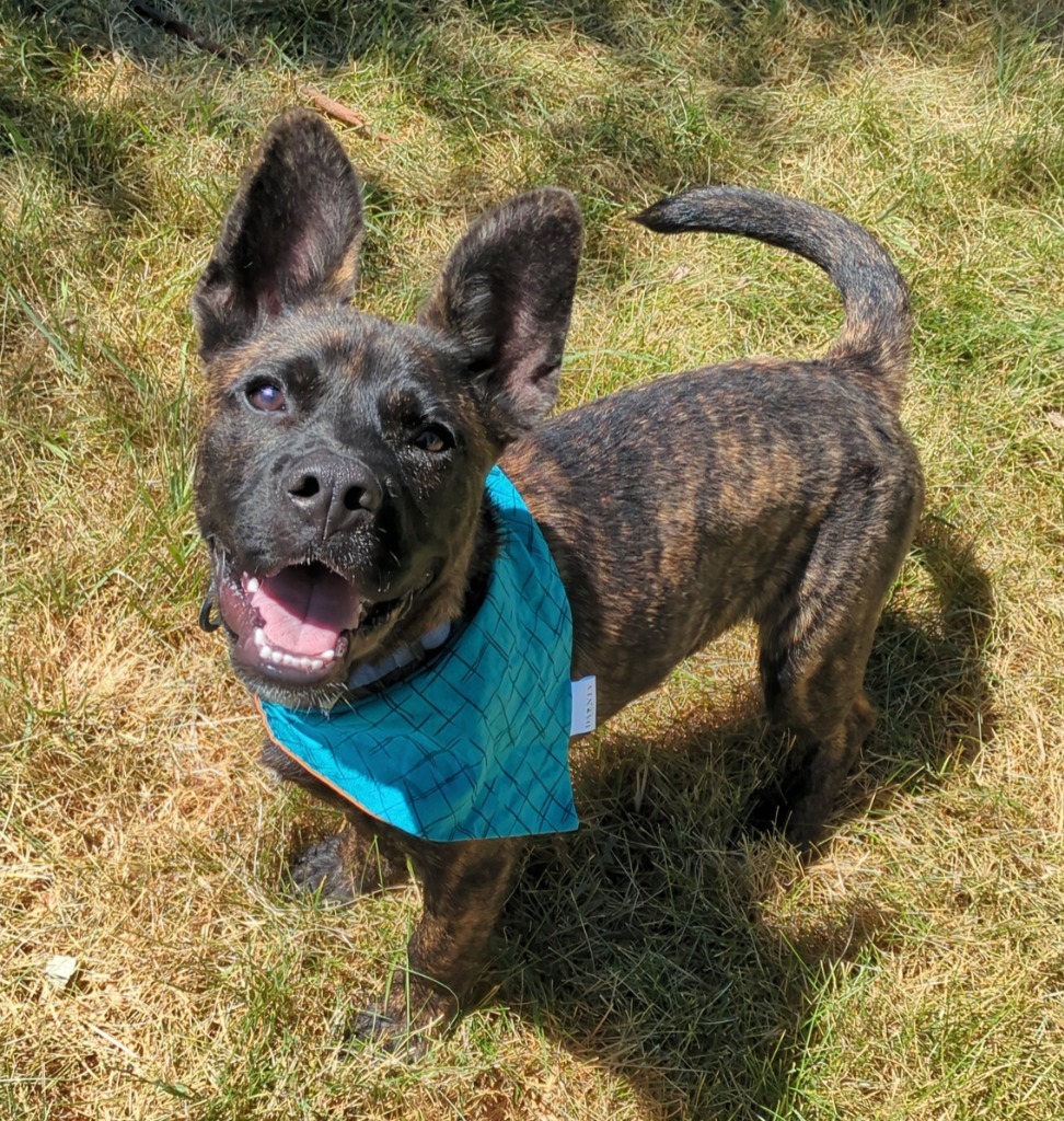 Spike