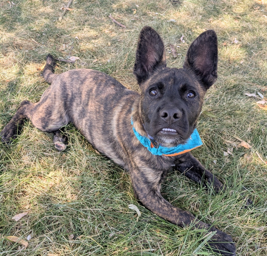 Spike