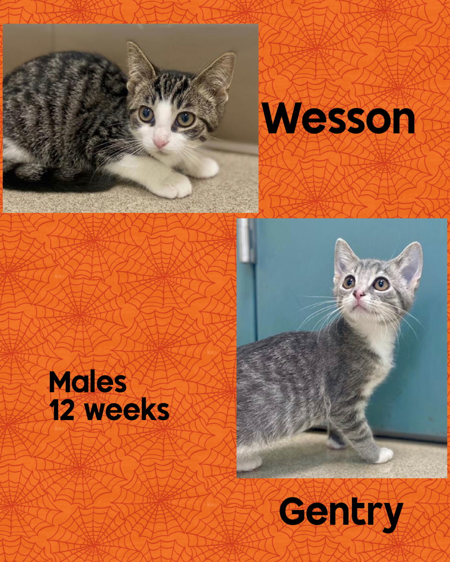 WESSON