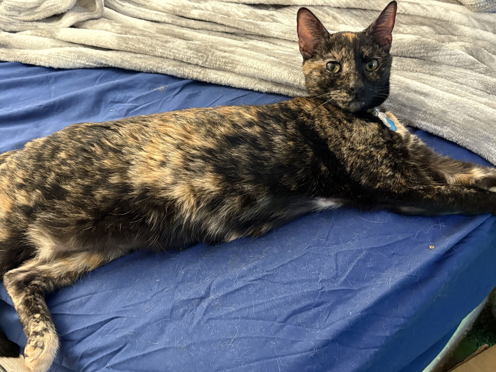 PRINCESS LEIA aka OLGA
