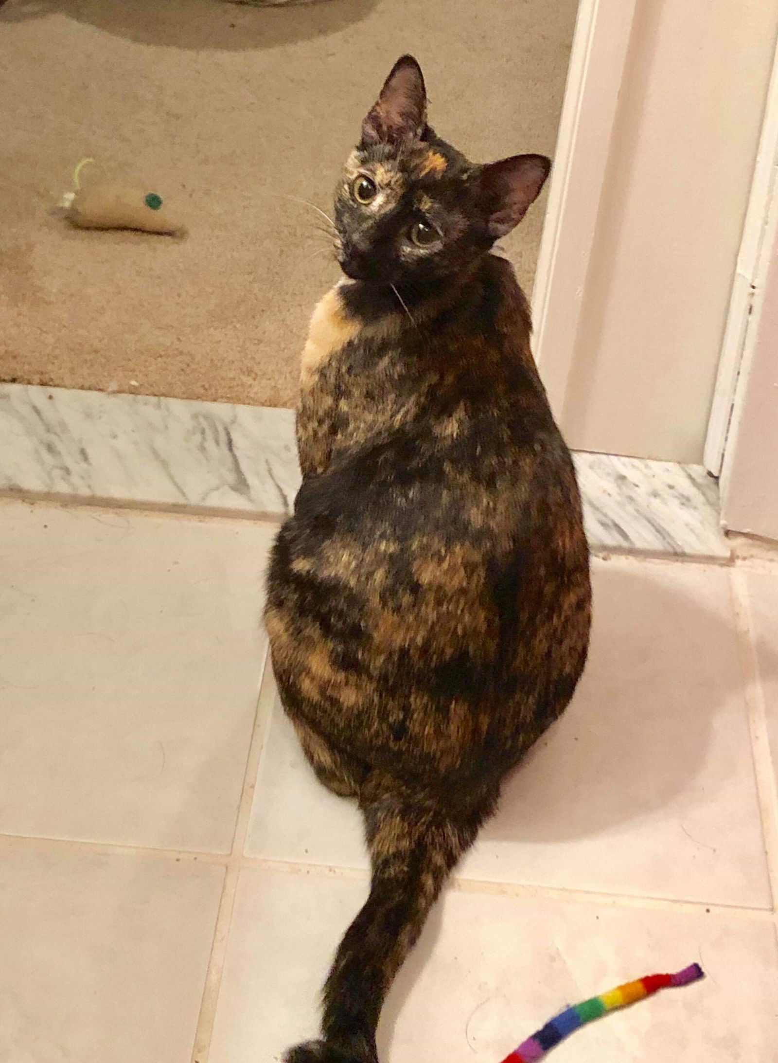 PRINCESS LEIA aka OLGA