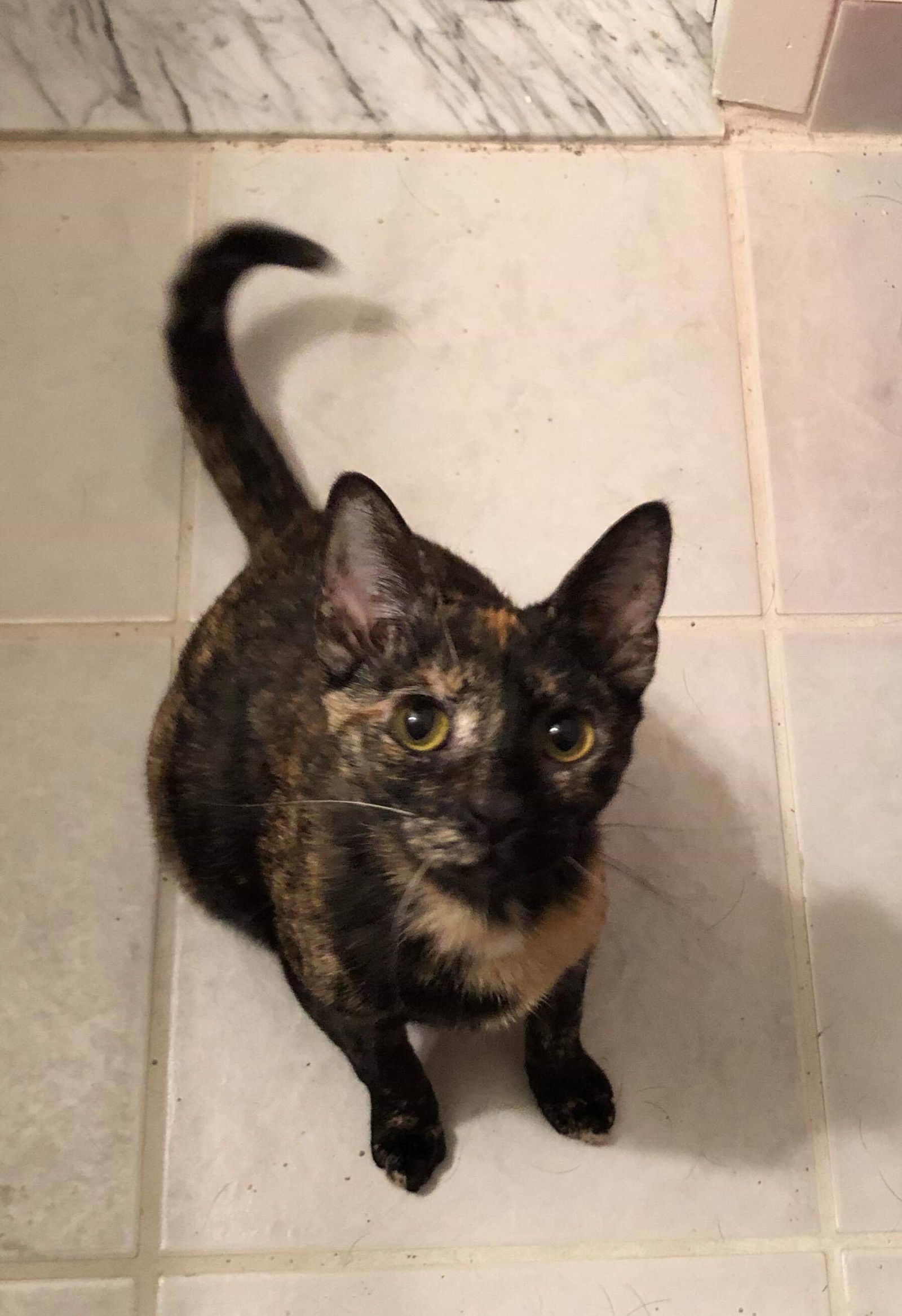 PRINCESS LEIA aka OLGA