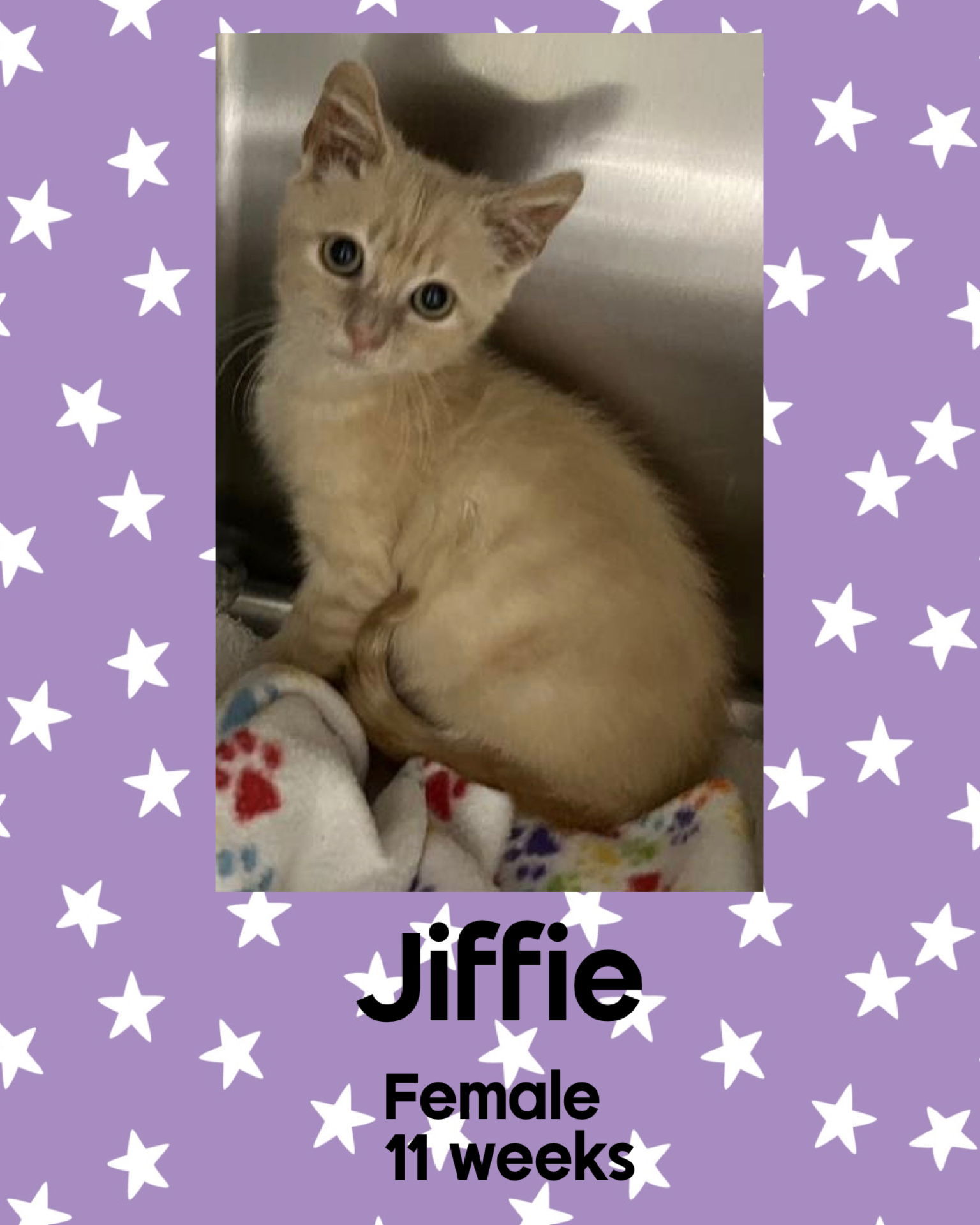 JIFFIE