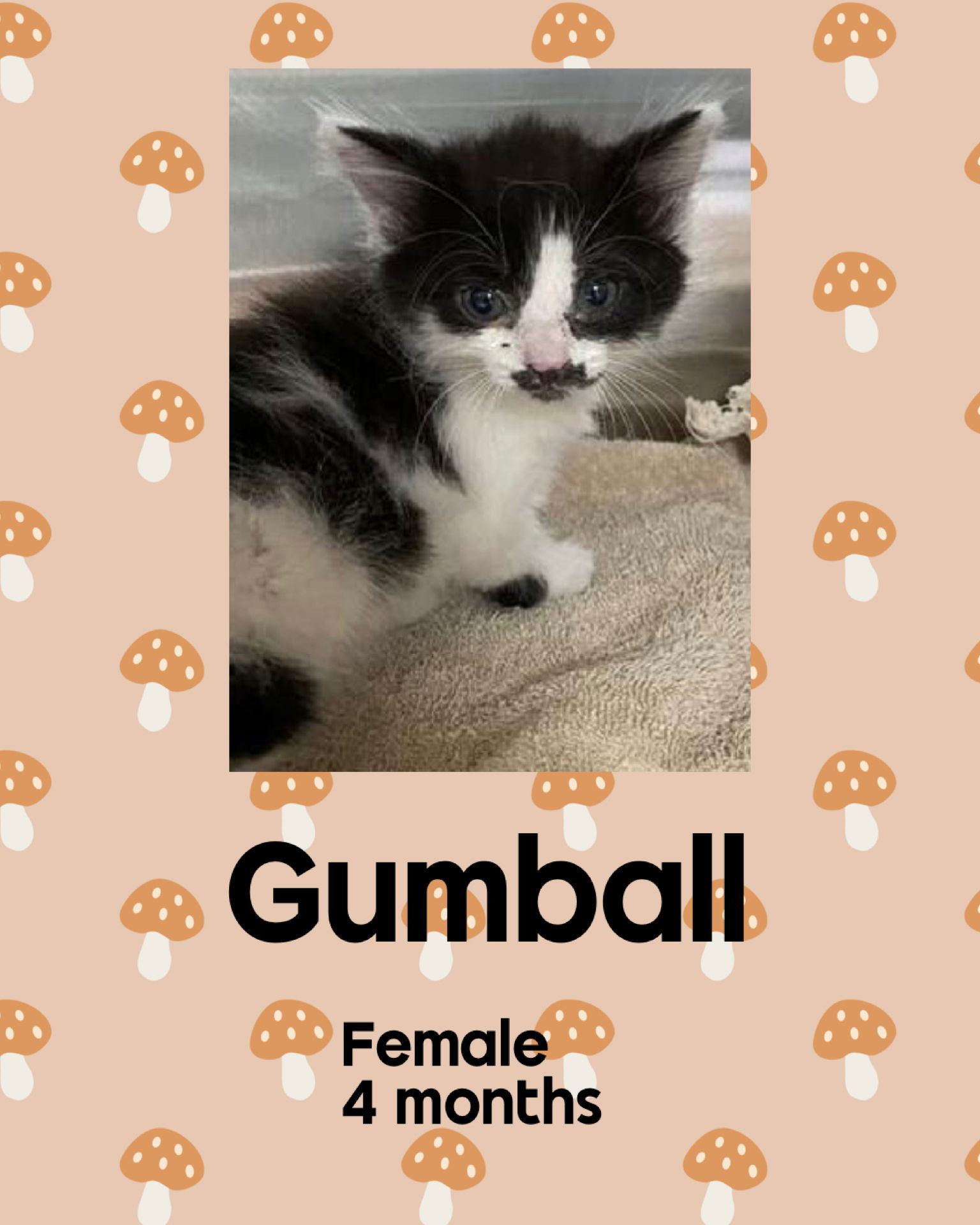 GUMBALL