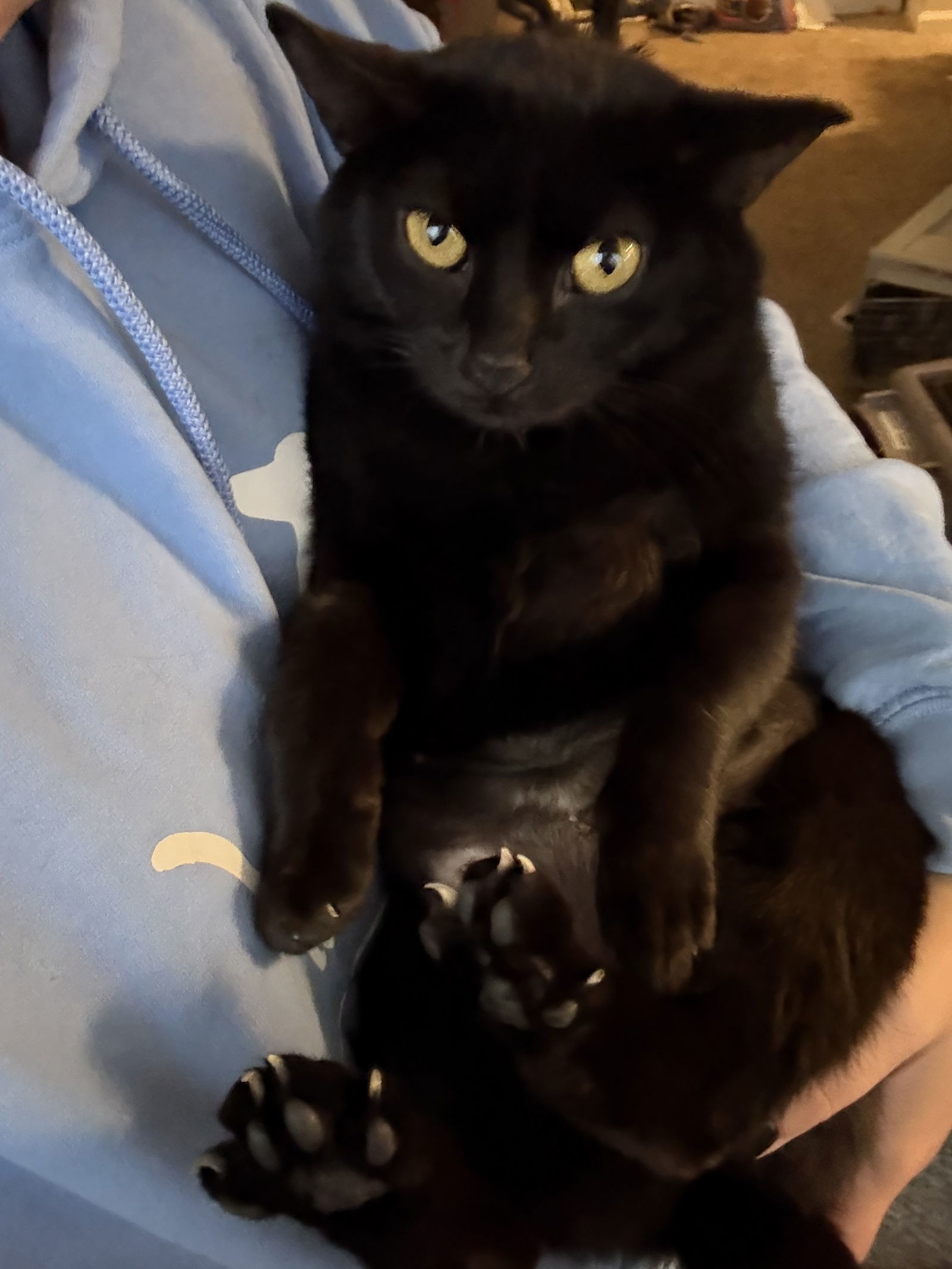 SALEM