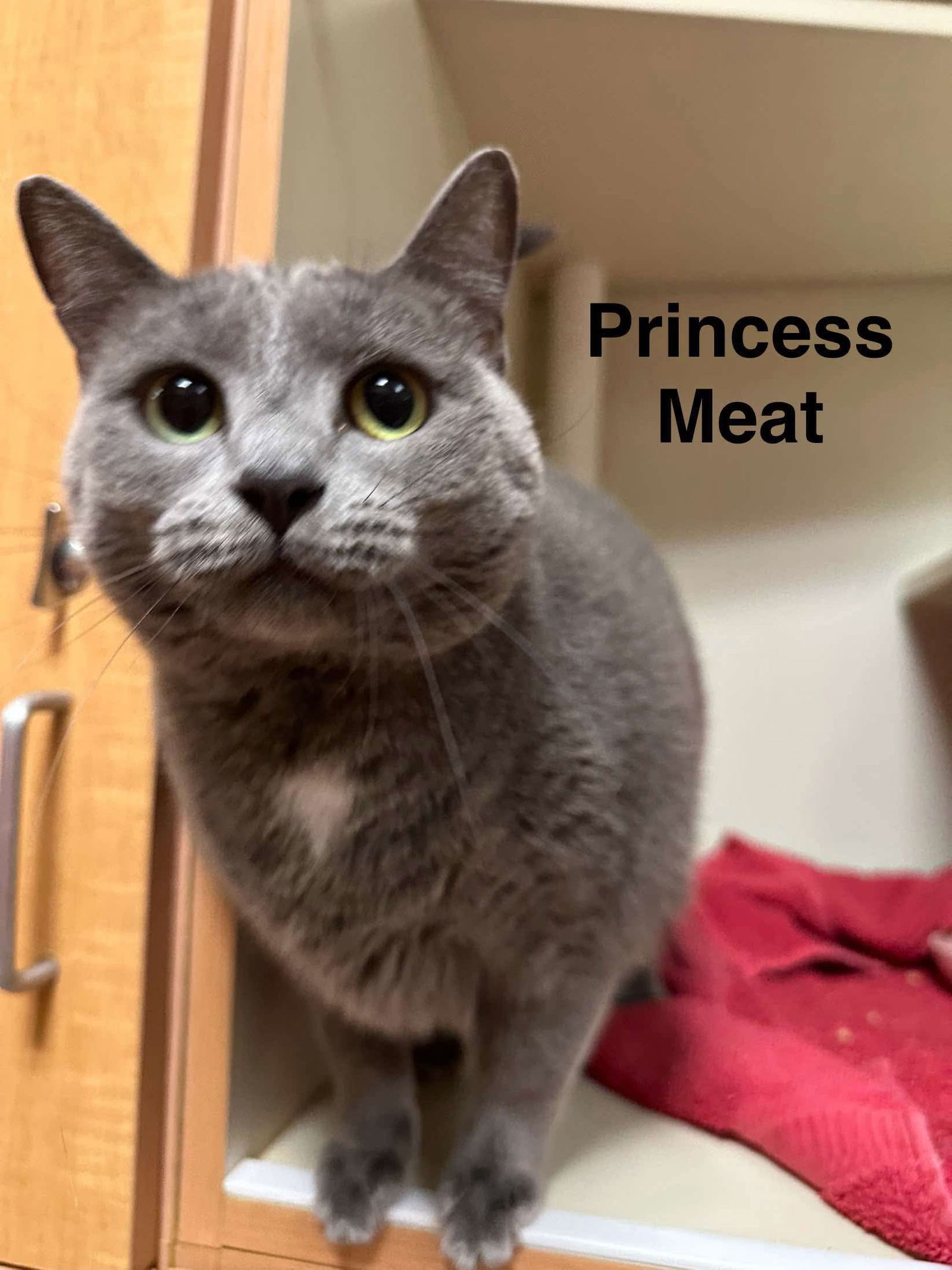 PRINCESS MEAT