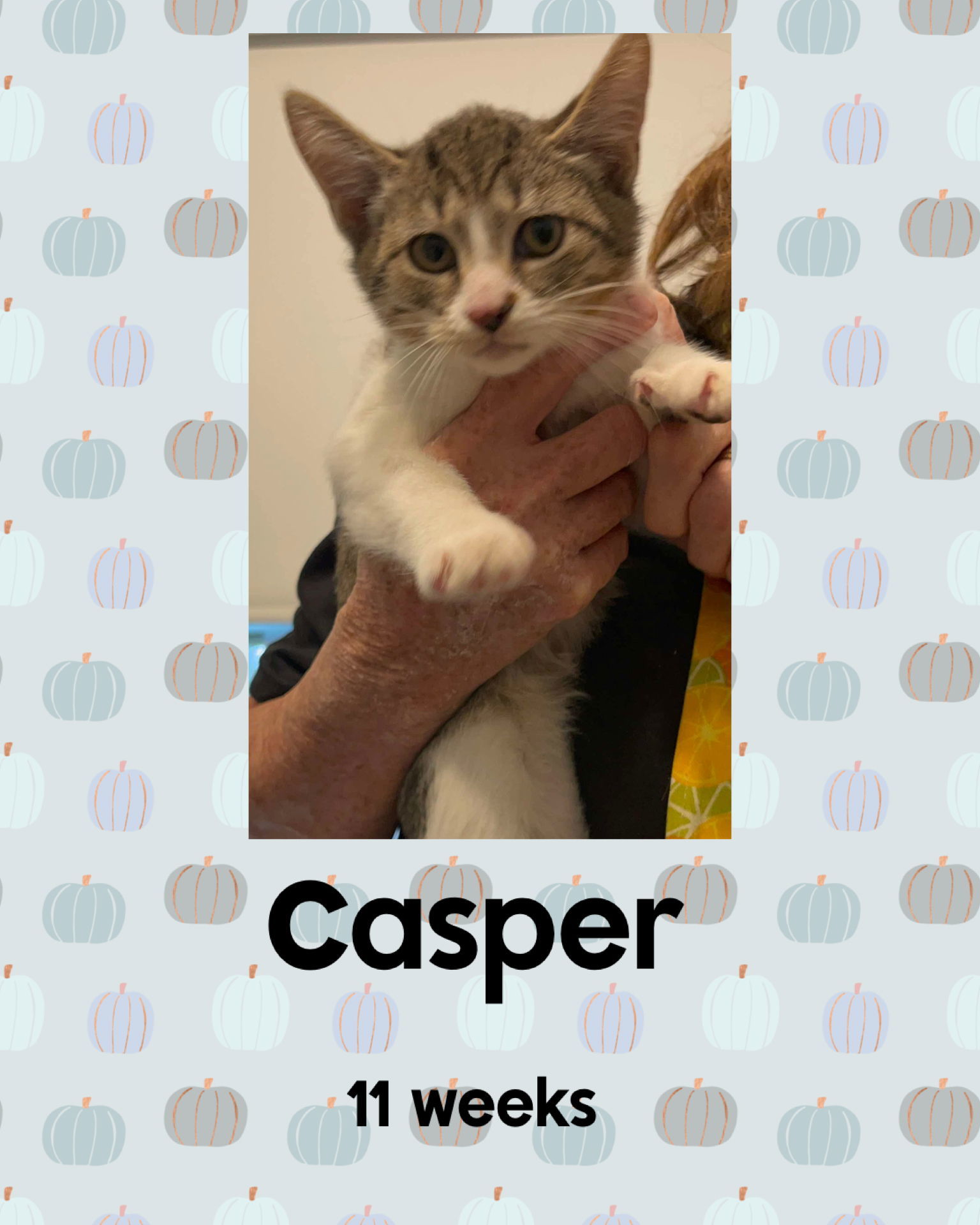 CASPER