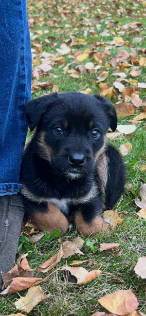 Zoe