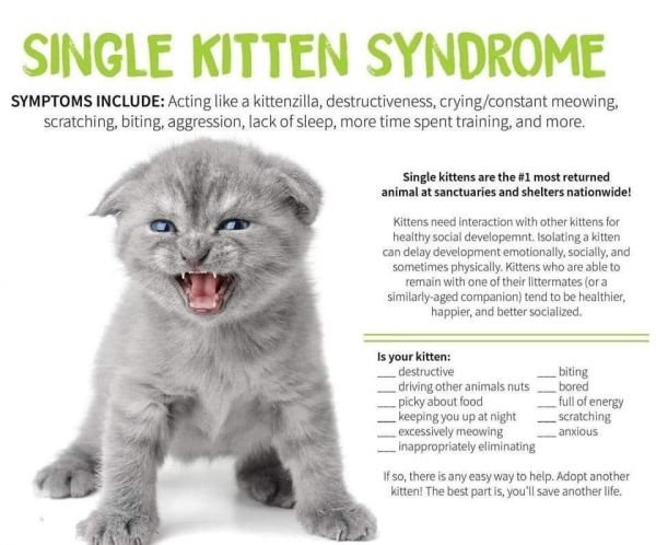 Juliette thumbnail 3