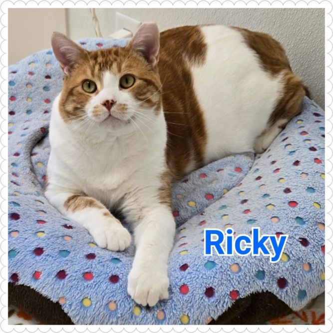 Ricky