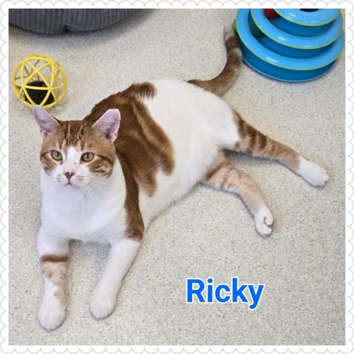 Ricky 3