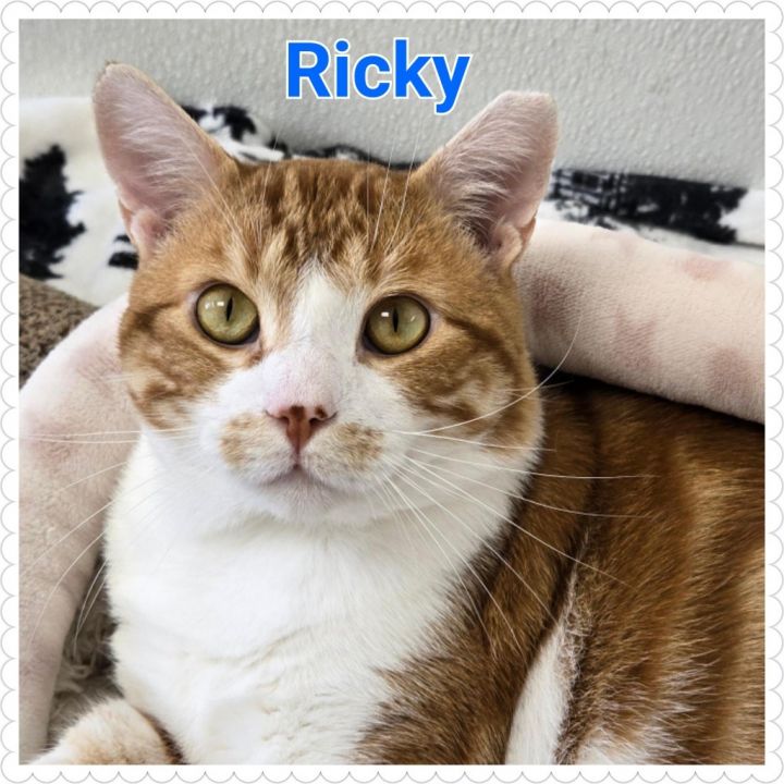Ricky 4