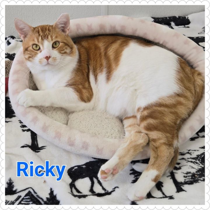 Ricky 5