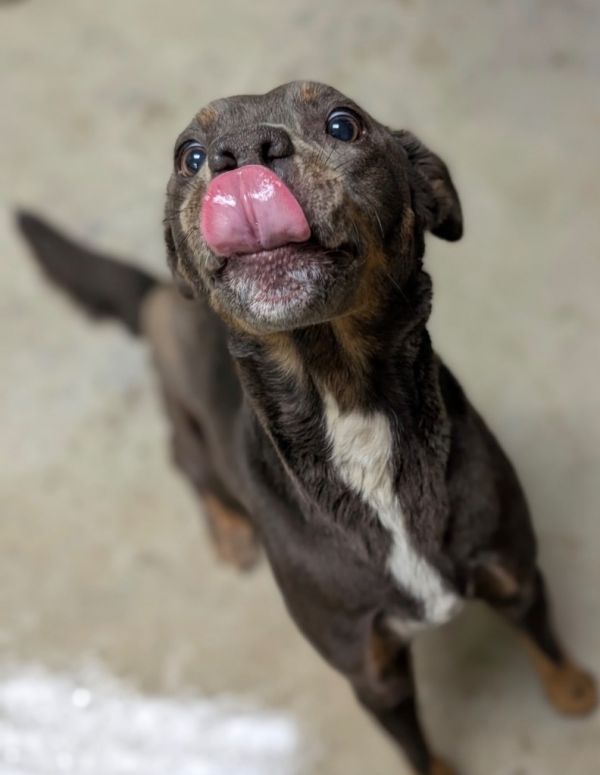 Wednesday thumbnail 5