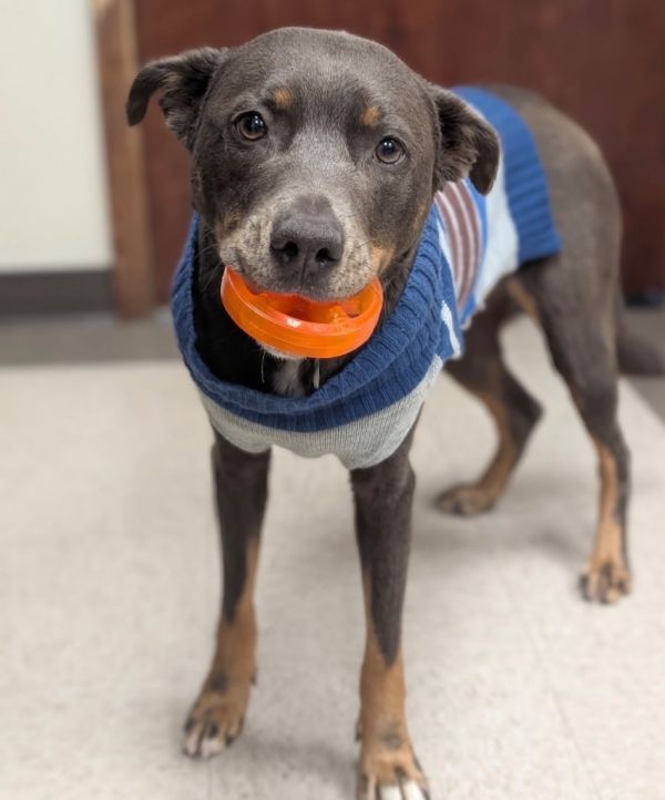 Wednesday thumbnail 6