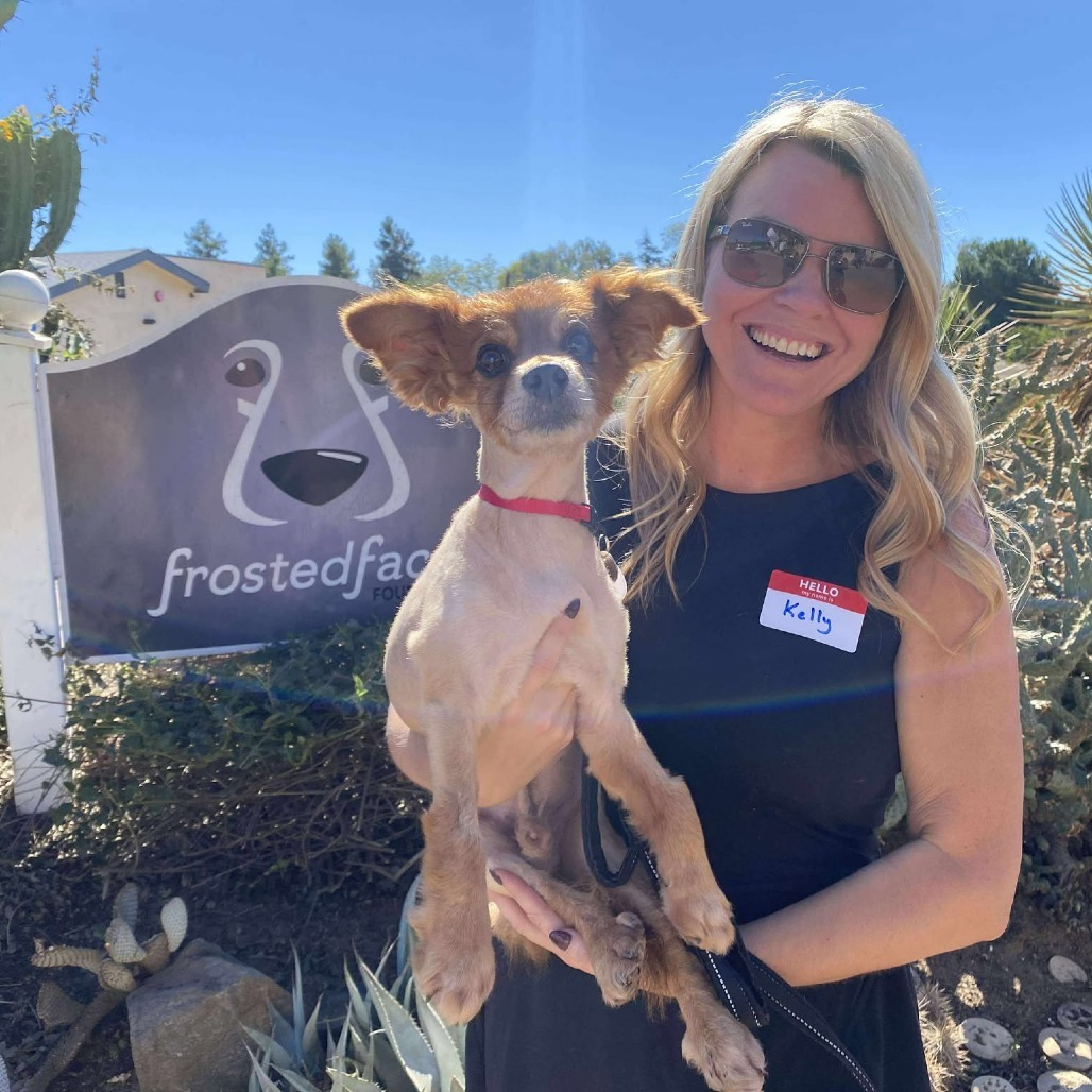 Bergen, an adoptable Spitz in Ramona, CA, 92065 | Photo Image 3